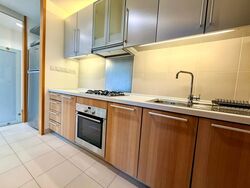 The Pier at Robertson (D9), Apartment #564124241